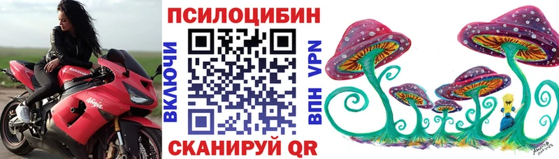 Галлюциногенные грибы Psilocybe  Купить где  Трёхгорный 